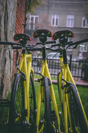 Tczewscy Kurierzy Rowerowi